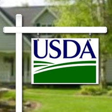 USDA loan limits